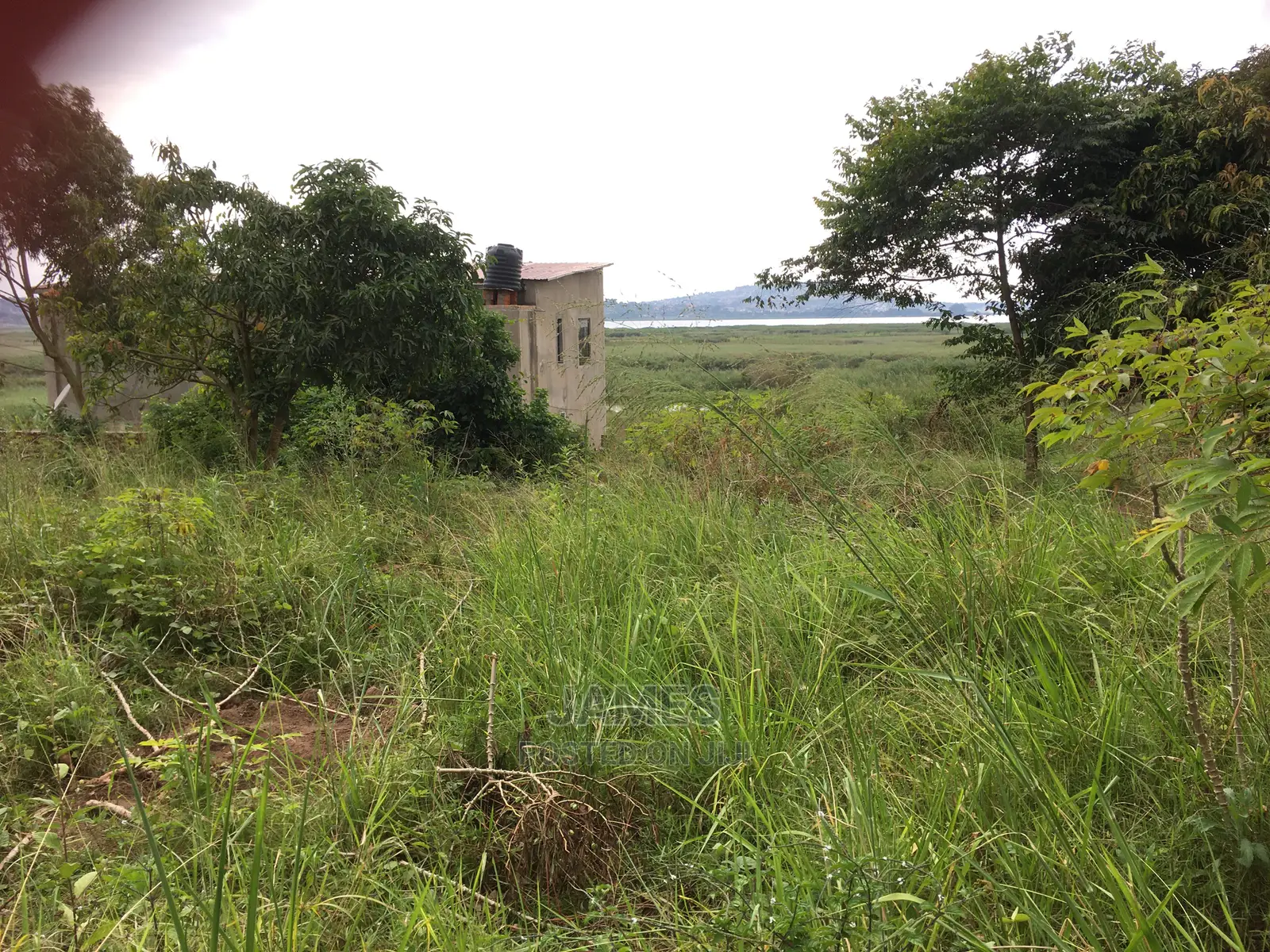 Half an Acre Land in Bweya for Sale