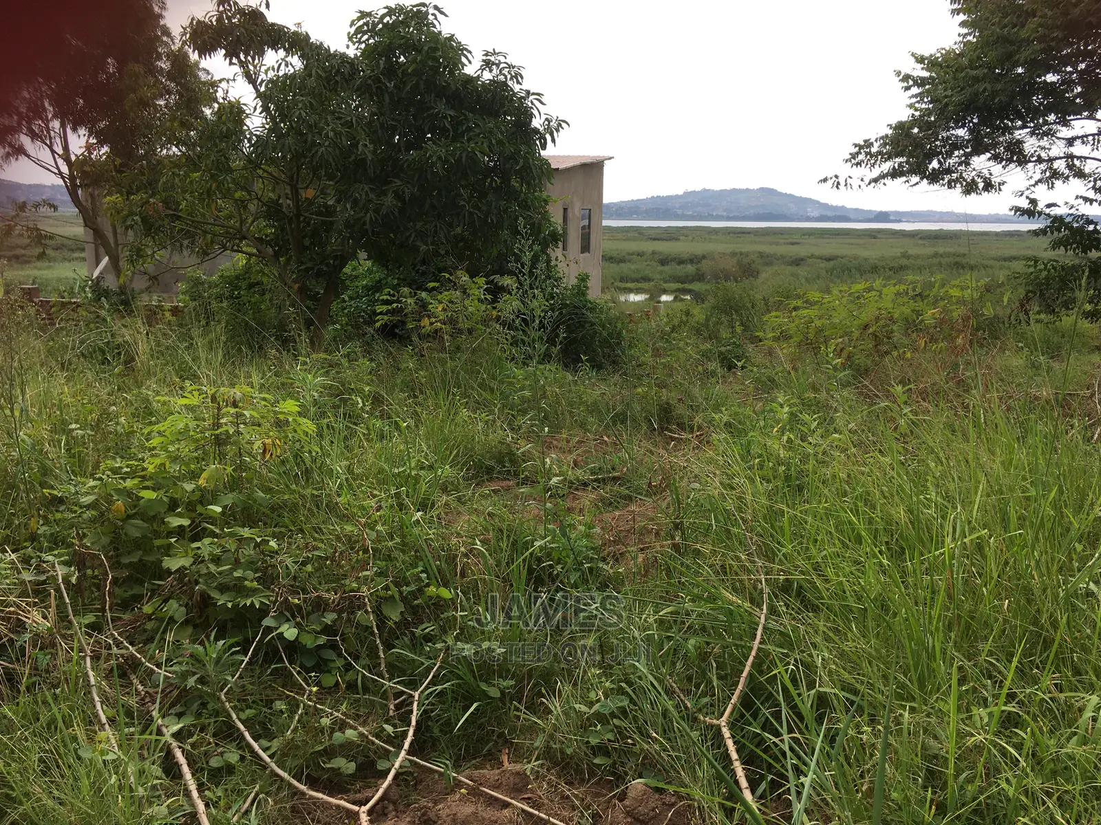 Half an Acre Land in Bweya for Sale