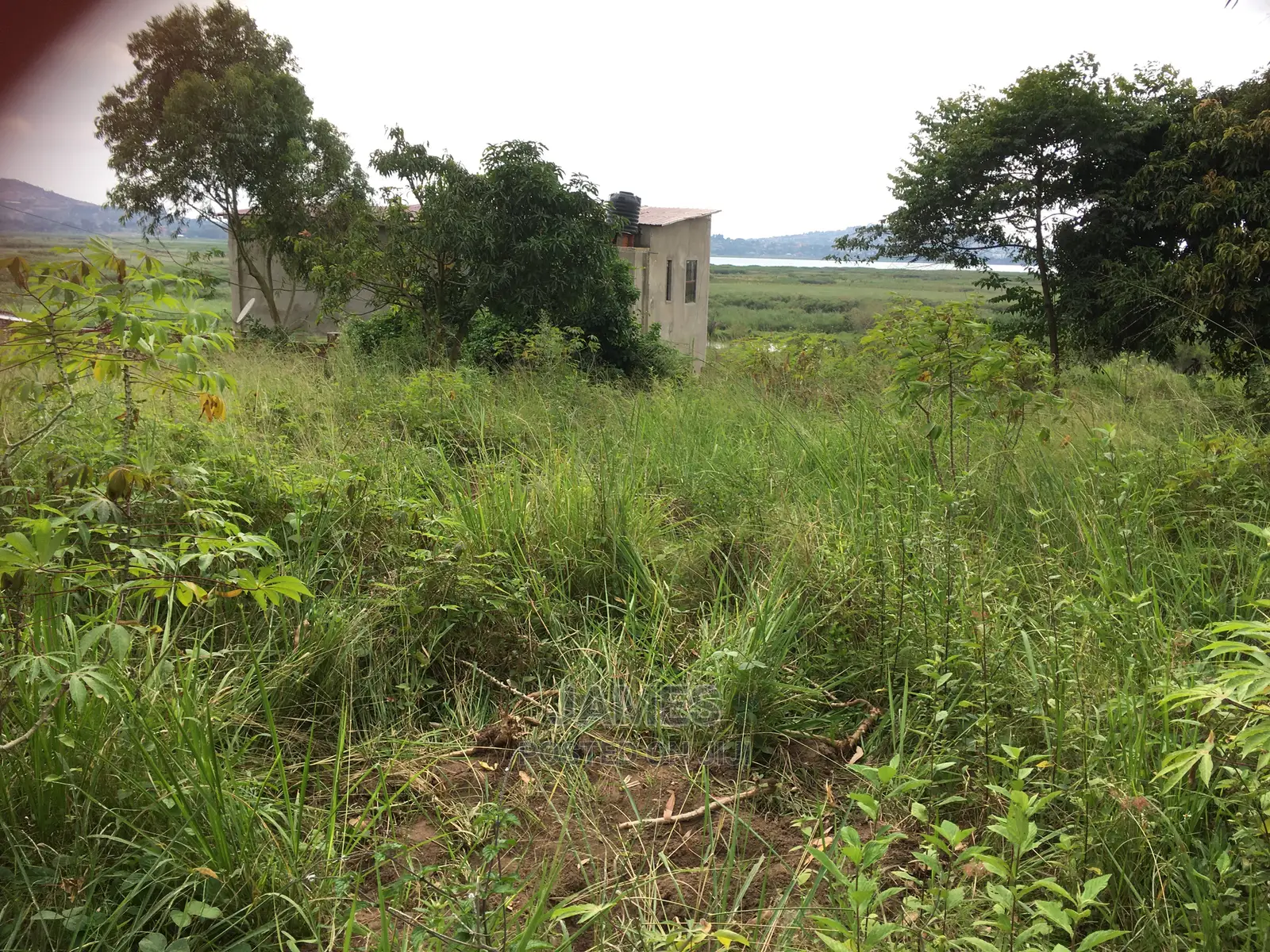 Half an Acre Land in Bweya for Sale