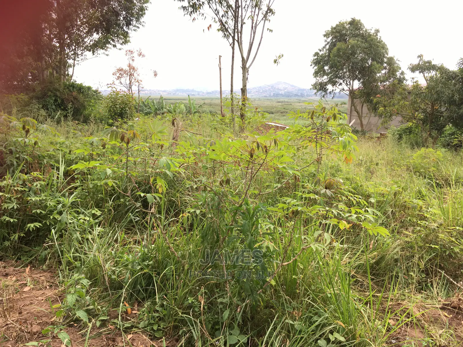 Half an Acre Land in Bweya for Sale
