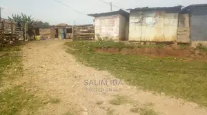 Land On Market