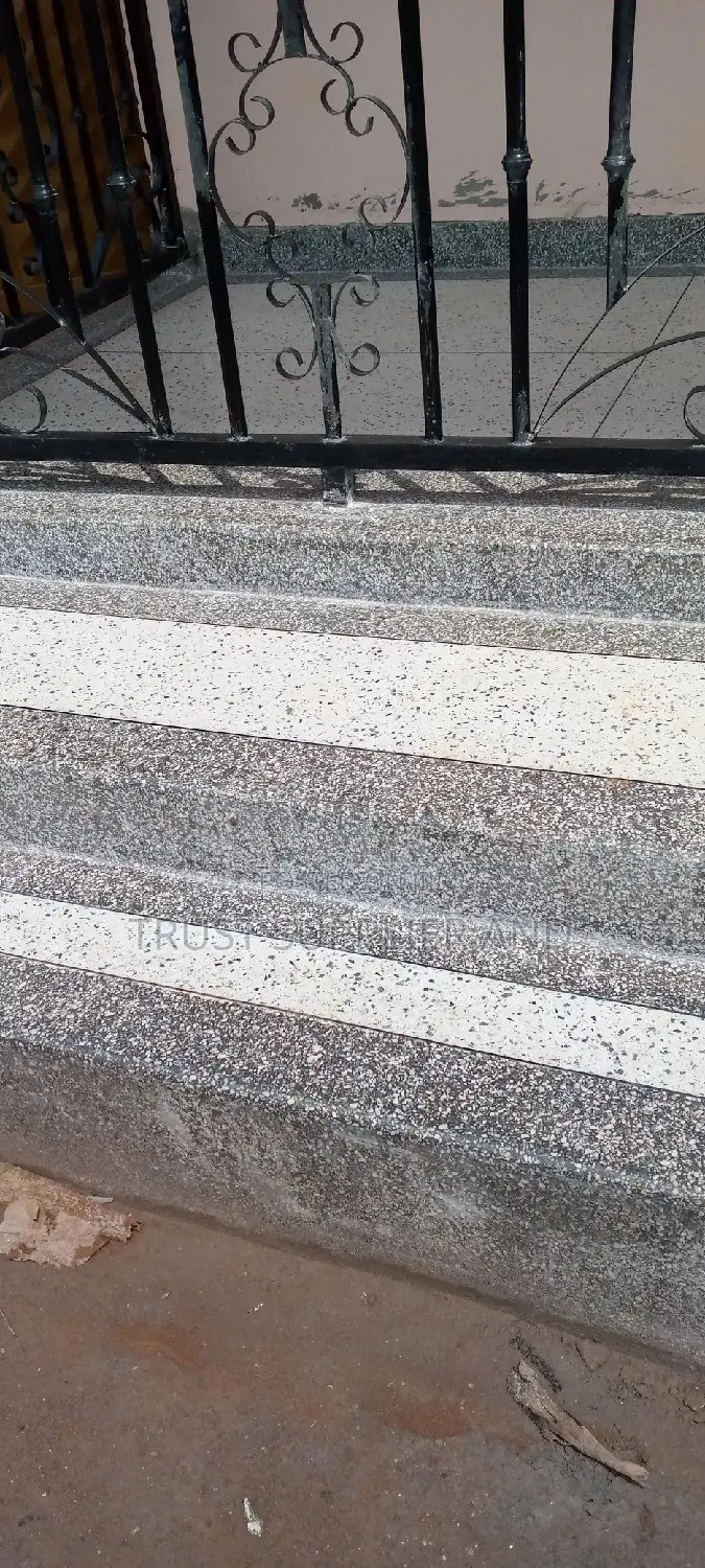 Terrazzo Floor 21