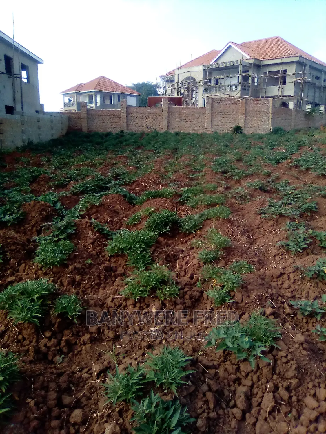 50/100 Plot for Sale in Nsasa Near Police Post