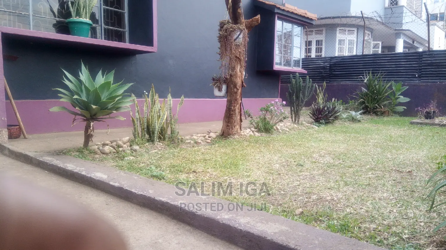 3bdrm House in Kololo Property, Kampala for Rent