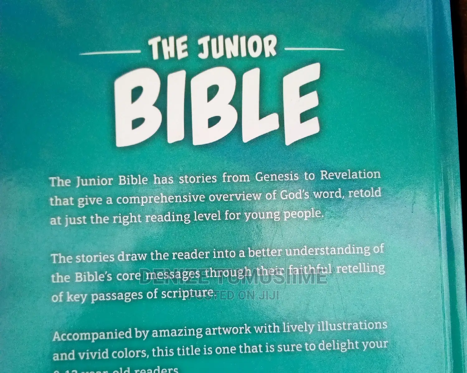 The Junior Bible