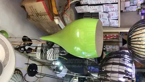 Unique Coloured Pendant