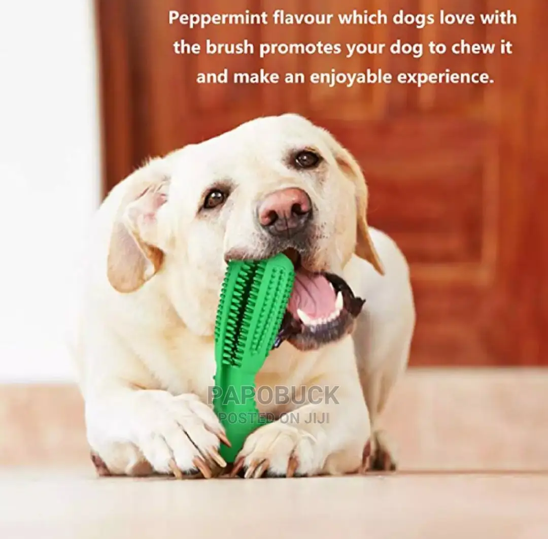 Dog Toothbrush