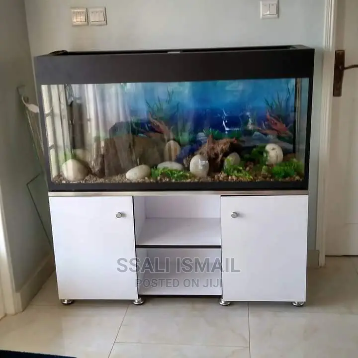 Perfect Aquarium With a White Durable Stand in Kampala Fish, Aqua