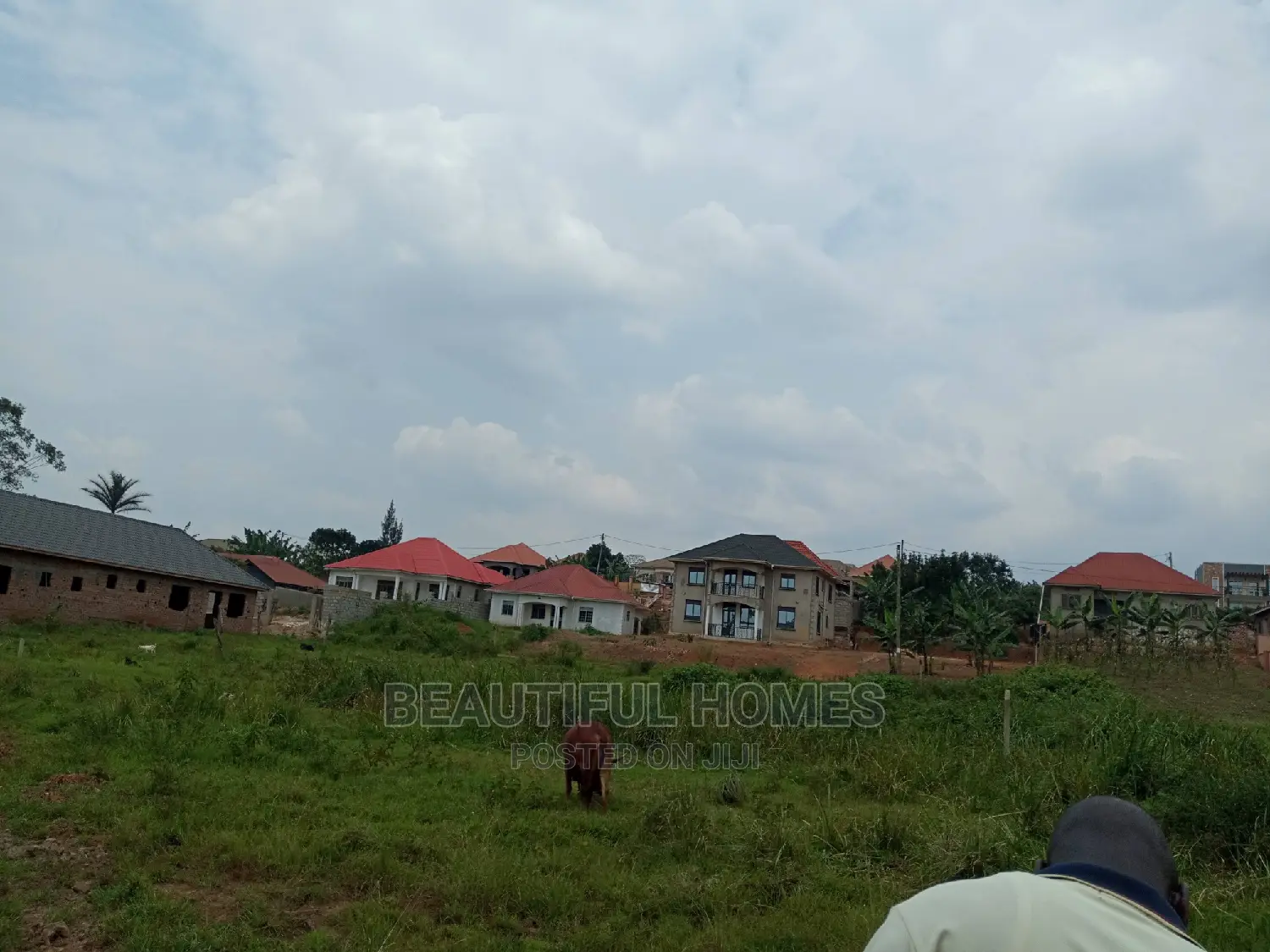 Kira Two Plots Near Tarmack for Sell