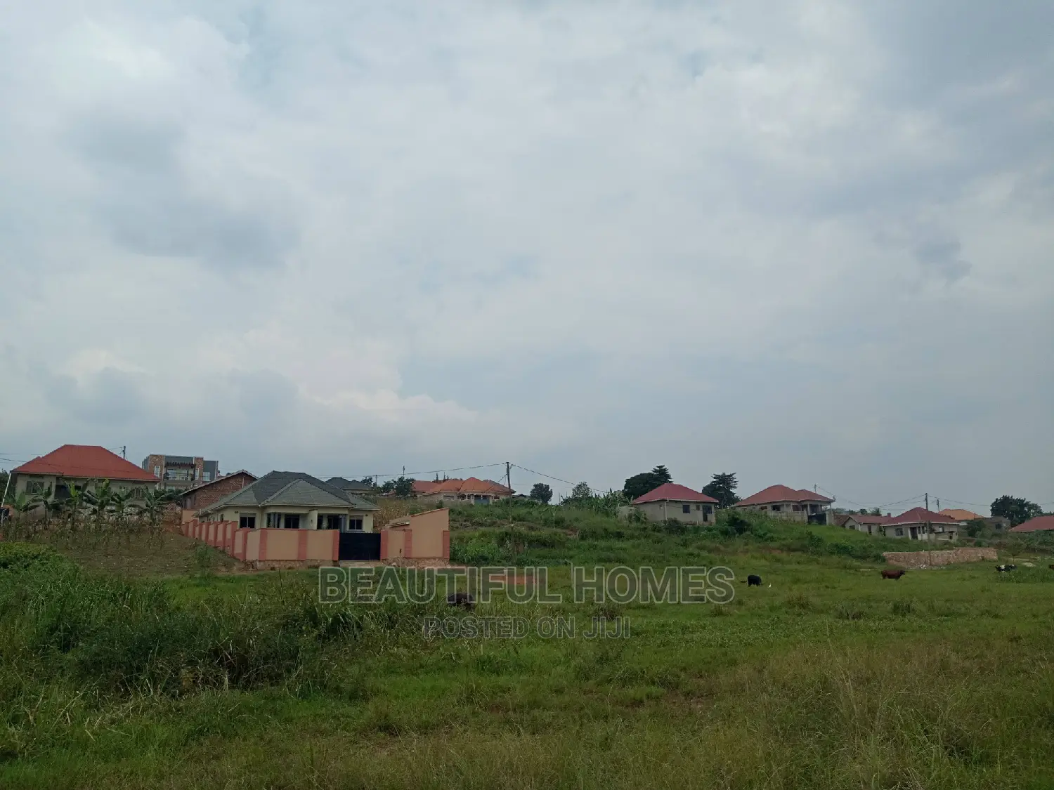 Kira Two Plots Near Tarmack for Sell