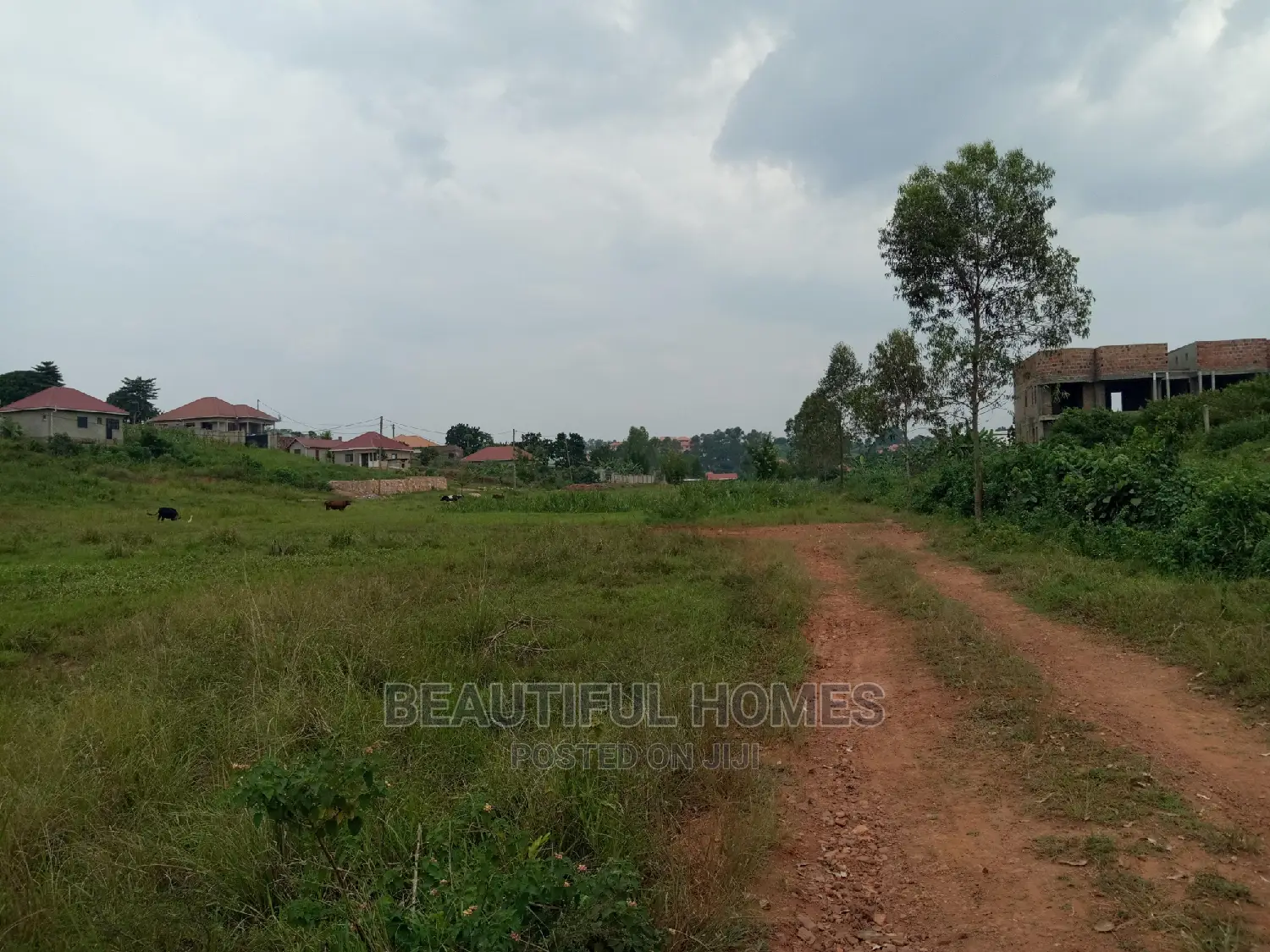 Kira Two Plots Near Tarmack for Sell