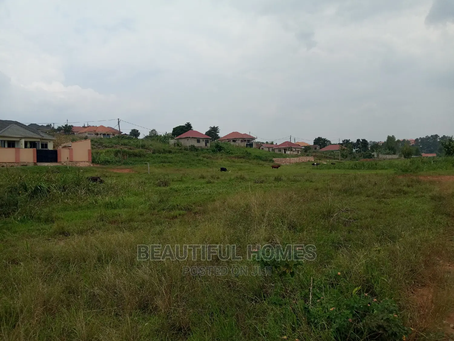 Kira Two Plots Near Tarmack for Sell