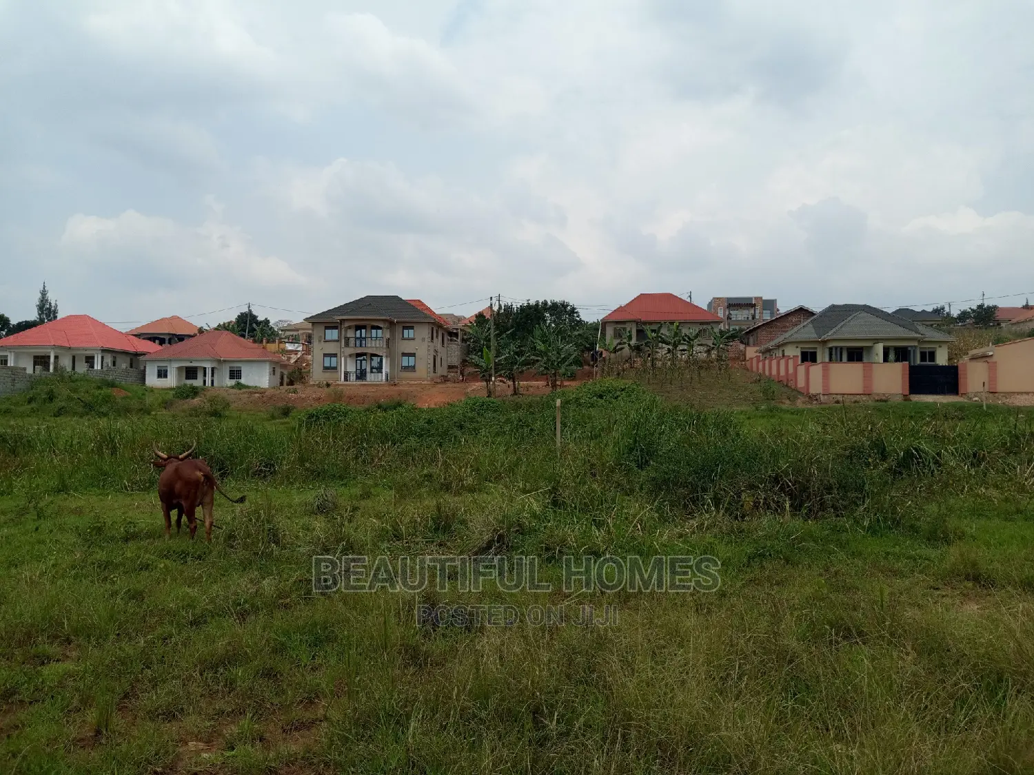 Kira Two Plots Near Tarmack for Sell