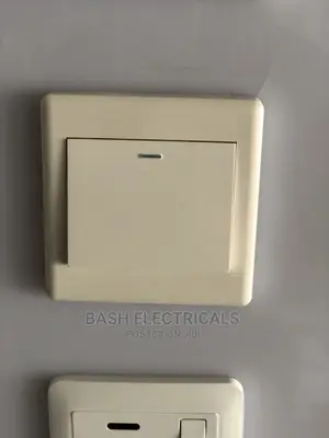 1gang Switch Big