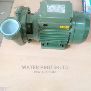 Surface Pump SAER Made in Italy