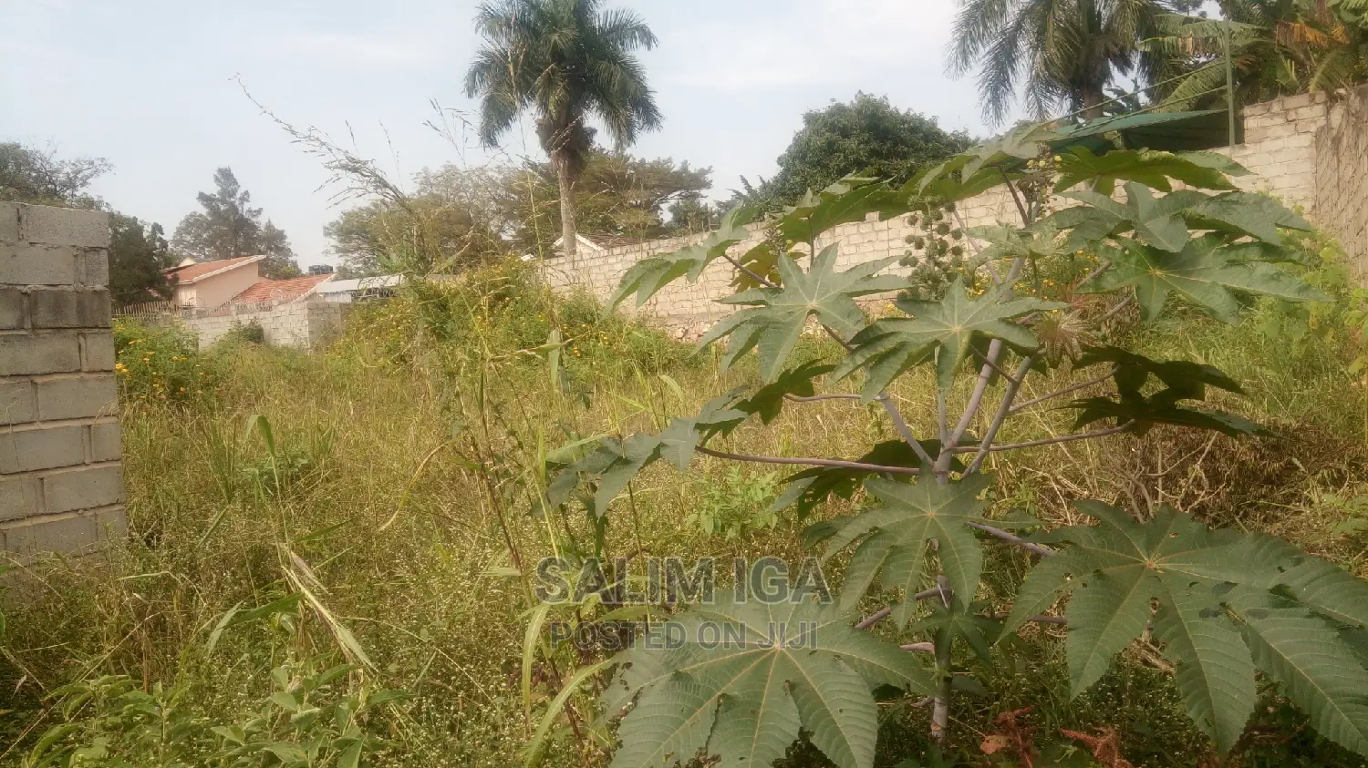 Plot on Market