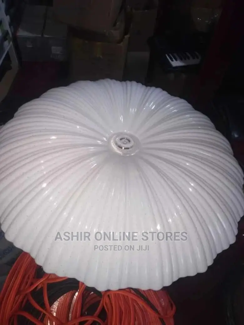 Strips Designed LED Ceiling Light/ Lamp