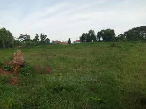 Gayaza Two Plots on Market