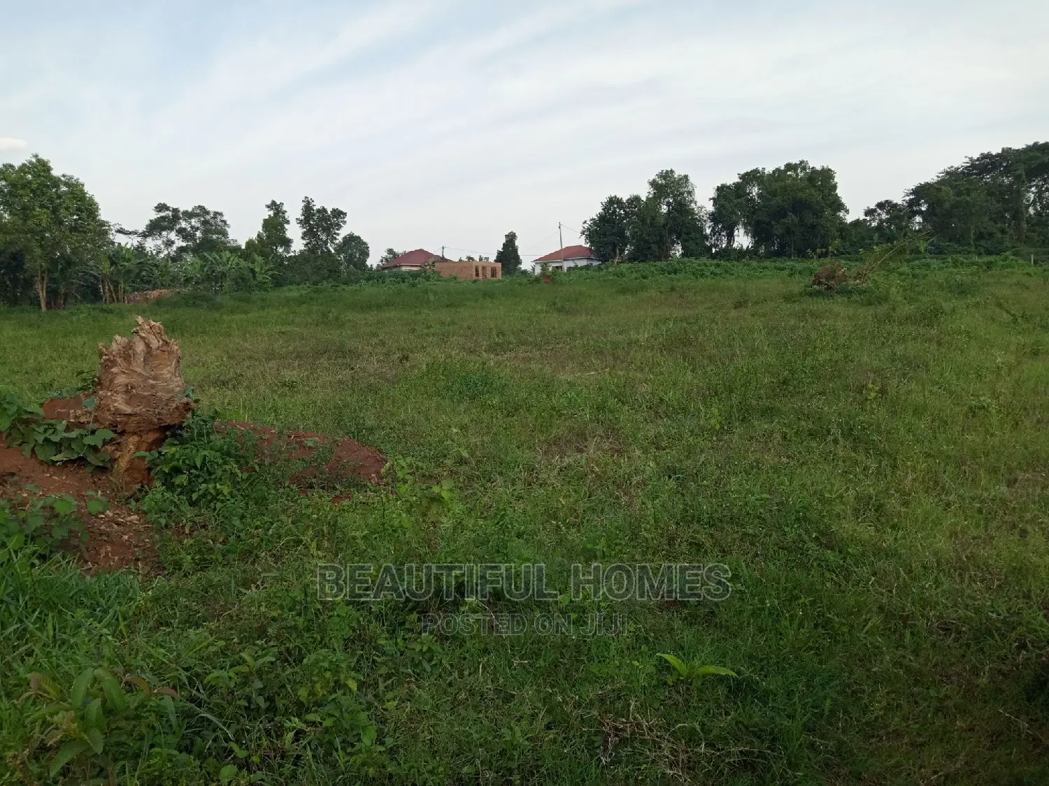Gayaza Two Plots on Market