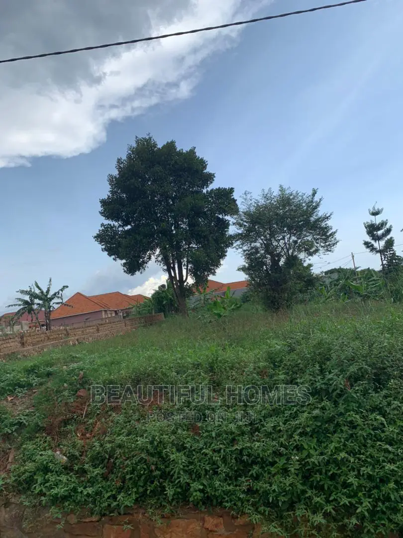 Gayaza Two Plots on Market