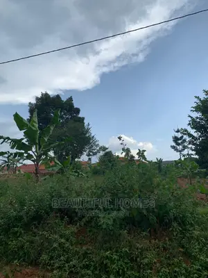 Gayaza Two Plots on Market