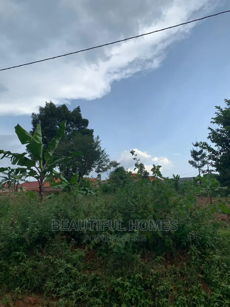 Gayaza Two Plots on Market