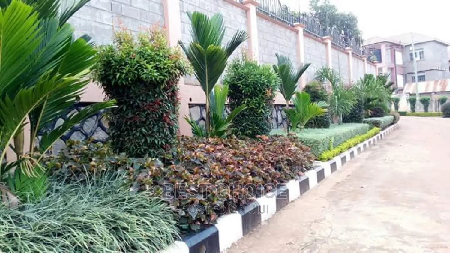 Talented Compound Designers/Gardrners.Flowers/Plants/Grass.
