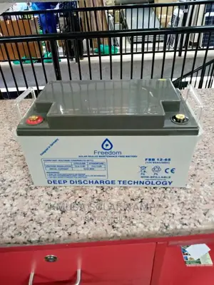 65ah Freedom Battery