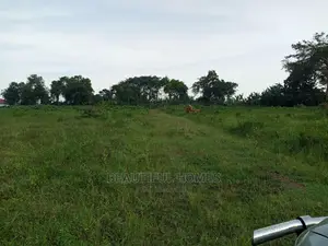 Kira Precious Two Plots Near the Road on Sell