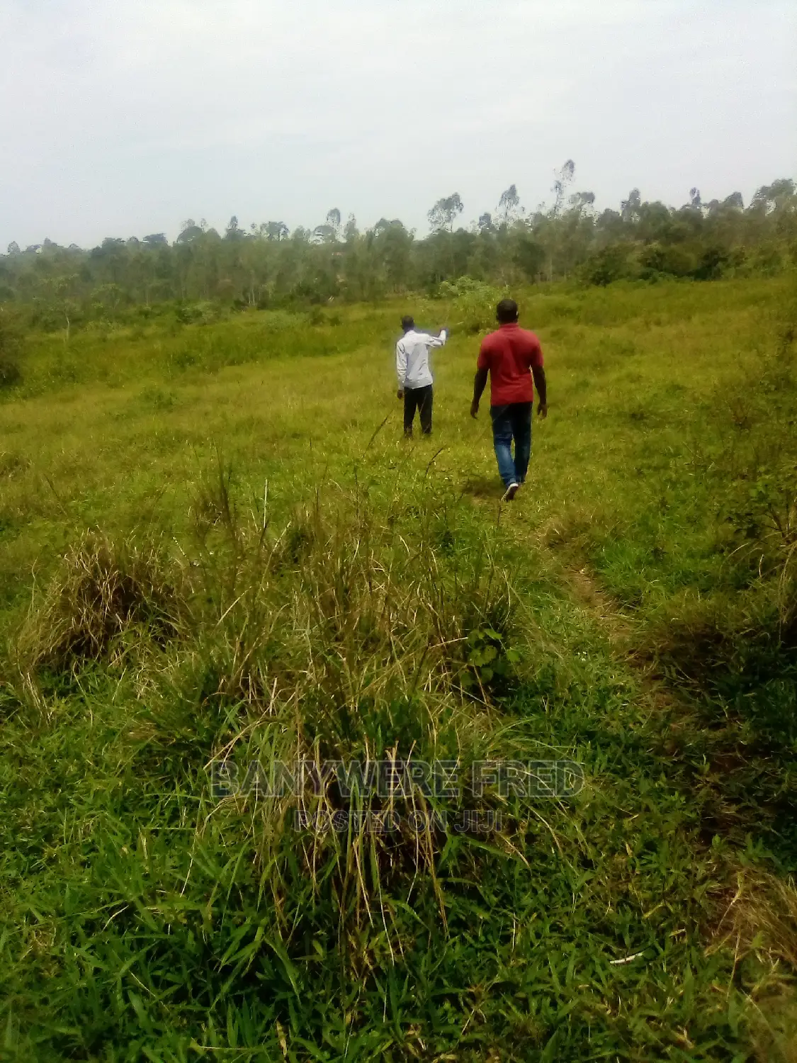 5acres in Lugazi Kiyindi Road