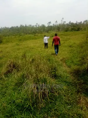 5acres in Lugazi Kiyindi Road