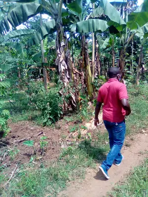 50/100 Plot on Sale in Buwante