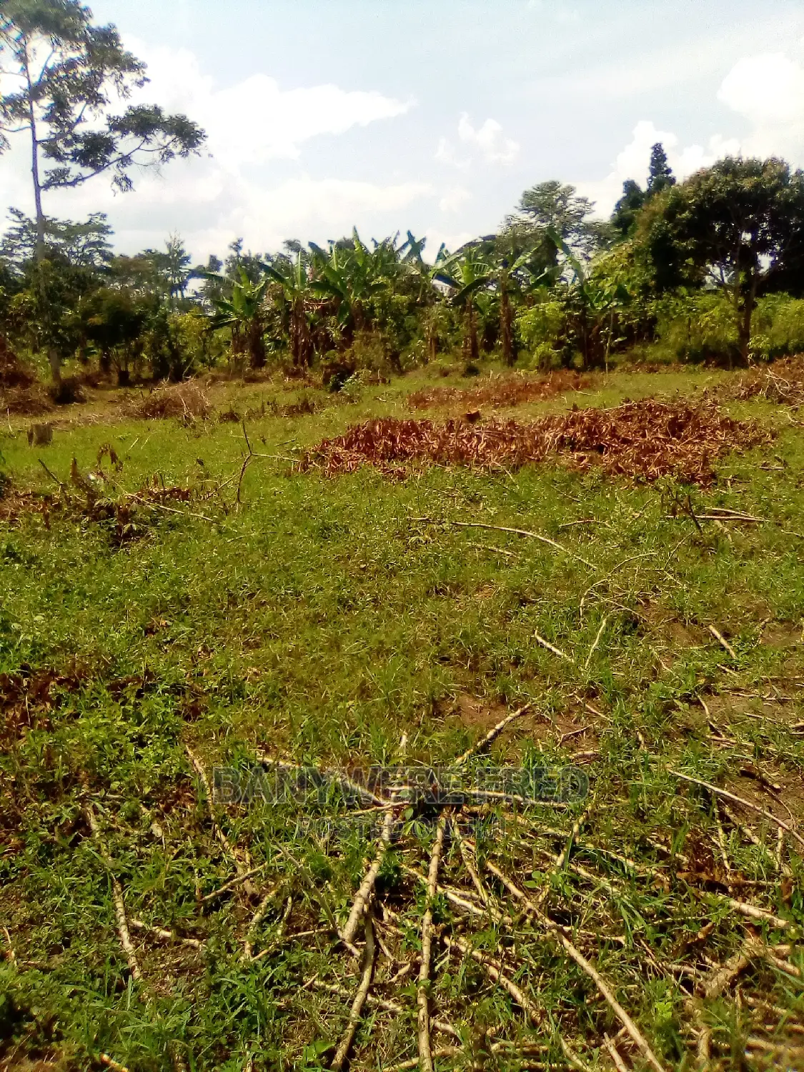 6acres of Land for Sale at Najja 1km From Luganzi Town