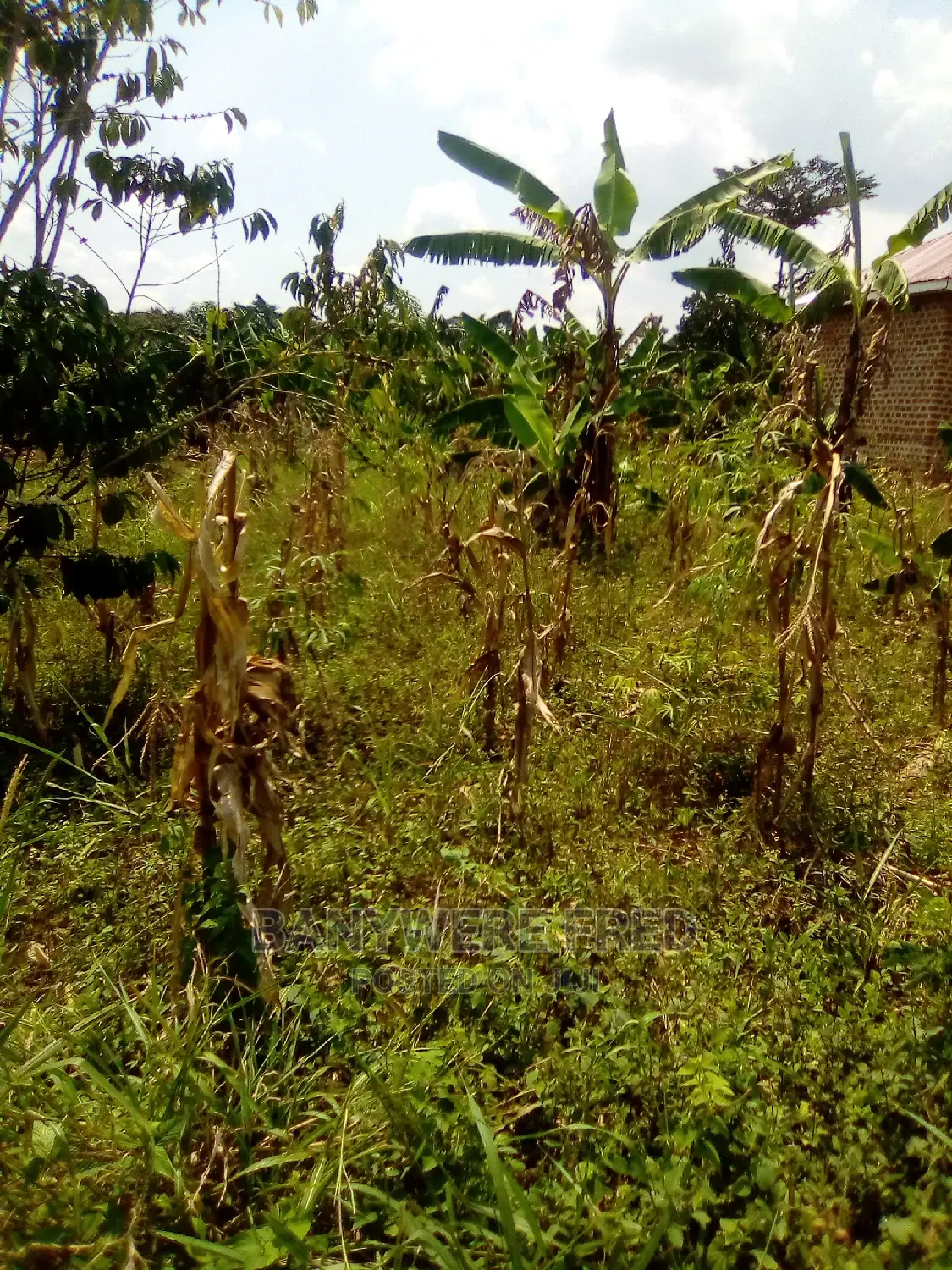 100x50ft for Sale at Namere