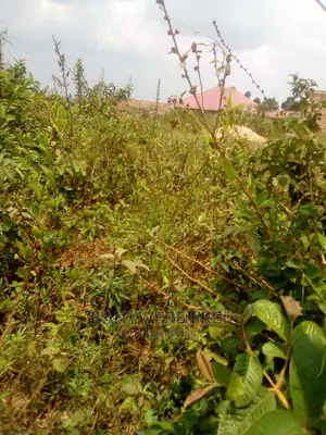 100x100ft Plot For Sale At Nakifuma Bwojji