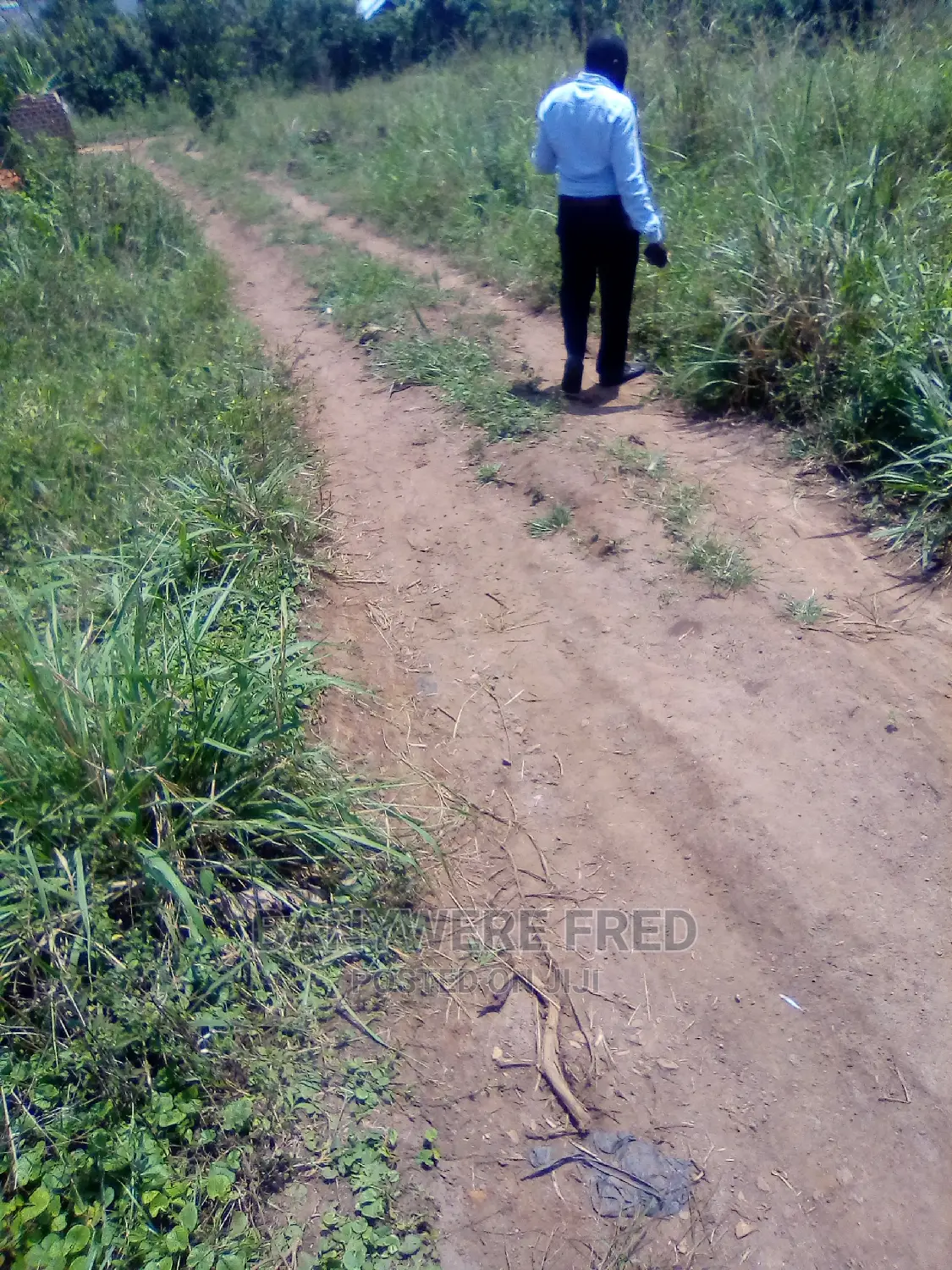 50x100ft for Sale With Aready Title at Kabembe