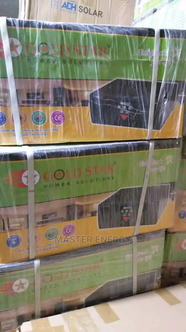 1200W UPS Pure Sine Wave/Battery Charging Inverter