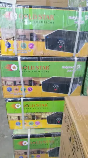 1500W UPS Pure Sine Wave/Battery Charging Inverter