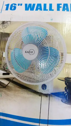 Kayle Wall Fan