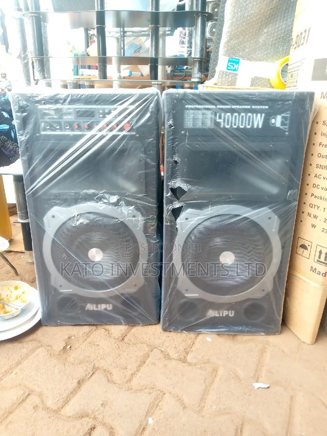 Professional Sound Speaker System