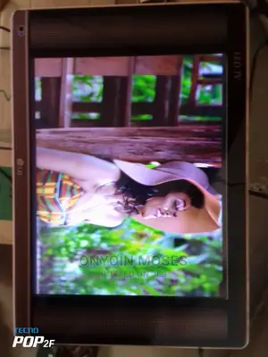 19 Inches Lg Digital Tv With Inbuilt Free To Air Decoder