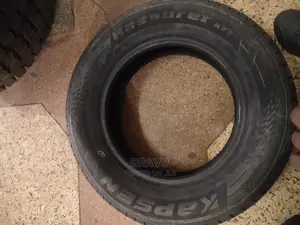 185/70r14 Kapsen