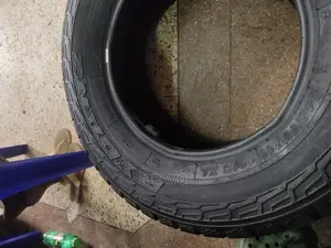 245/70r16 Rydanz