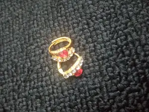 Genuine Stainless Earpins