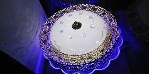 LED Delightful Ceiling Light That Changes Colour