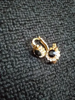 Genuine Stainless Earrings