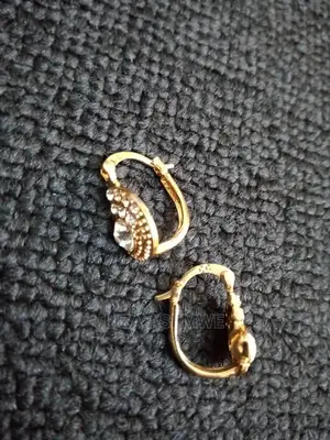 Quality Stainless Earpins