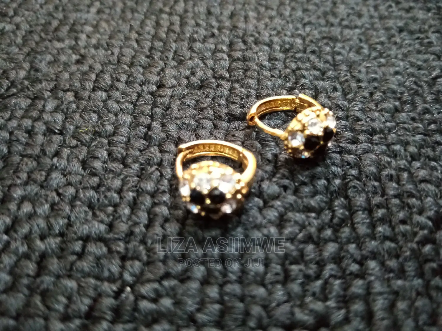 Stainless Earpins
