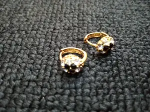 Stainless Earpins