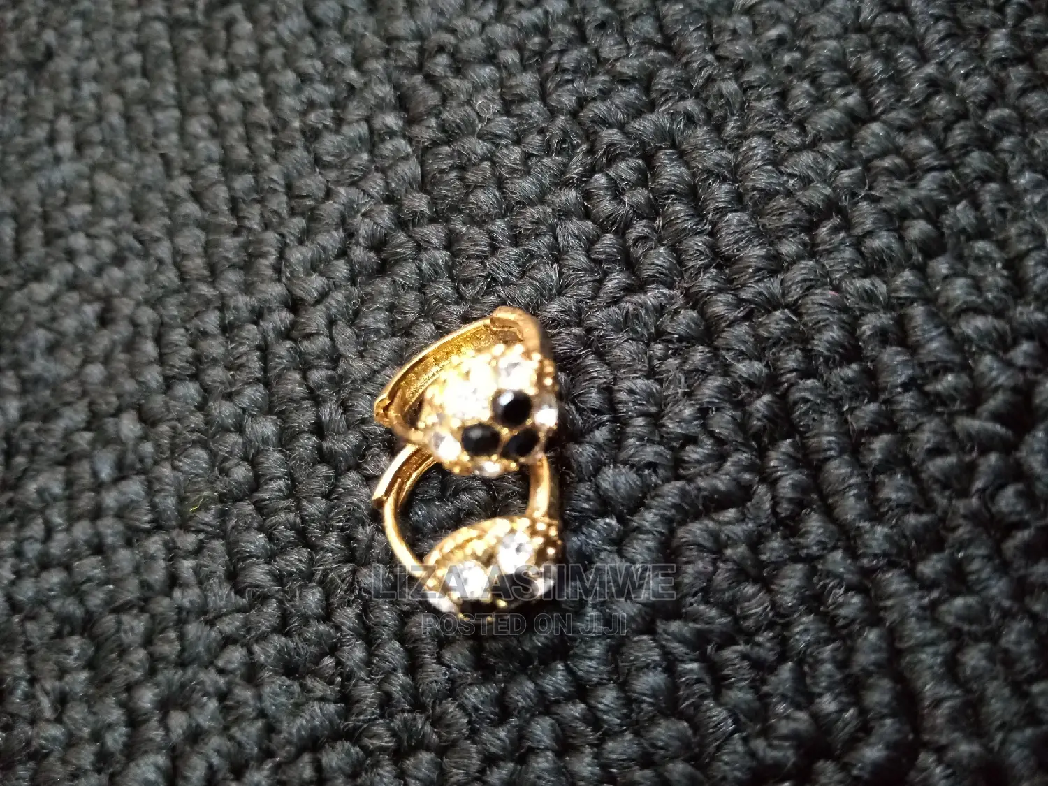 Stainless Earpins